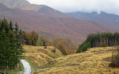 WORKSHOP TAPPA 3| IN VIAGGIO LUNGO L’APPENNINO TOSCO-EMILIANO