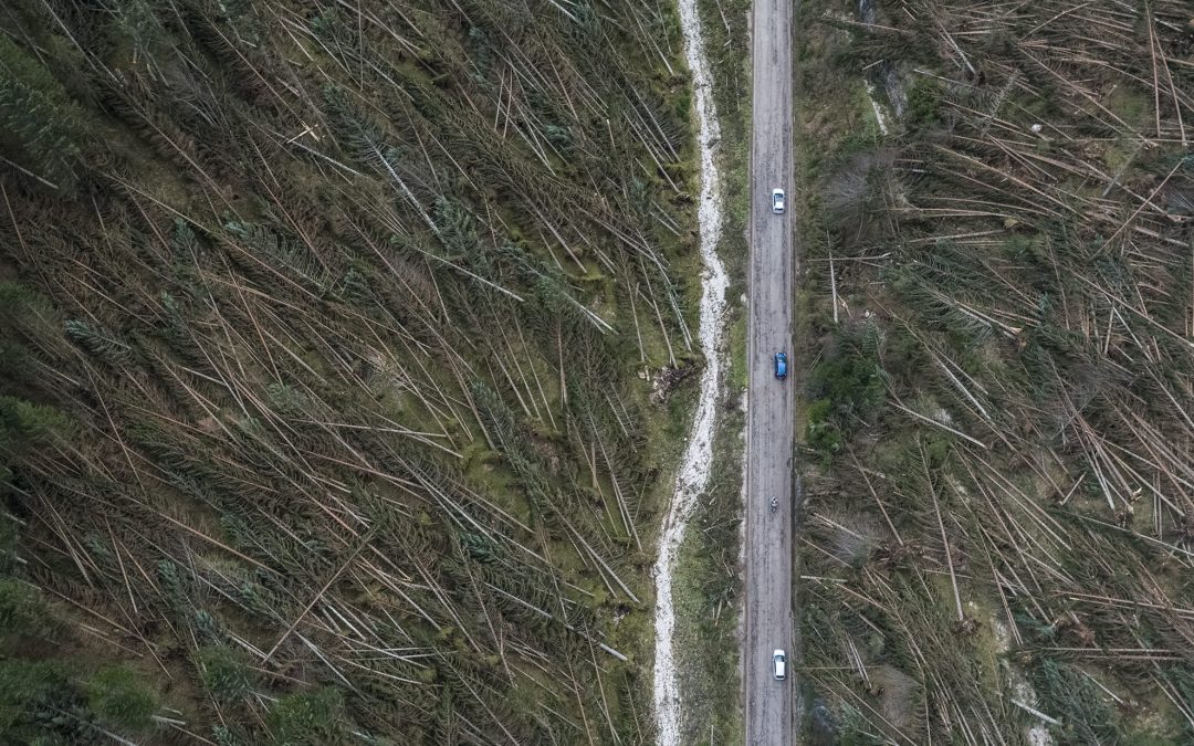 I PROPOSITI DI TWIN: ABBRACCIARE LA FILIERA SOLIDALE DI “VAIA”