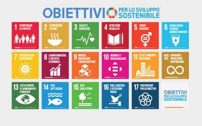 TWIN E AGENDA 2030: QUALI AFFINITÀ?